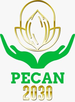 Projeto Pecan 2030